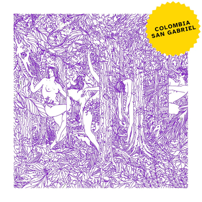 Colombia San Gabriel Bourbon Chiroso Lavado